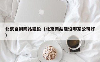 沂南北京自制网站建设（北京网站建设哪家公司好）