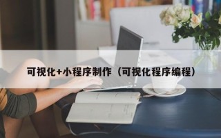沂南可视化+小程序制作（可视化程序编程）